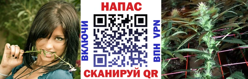 Сколько стоит Сосенский СК  COCAIN  Мефедрон  Галлюциногенные грибы  Гашиш  АМФЕТАМИН 