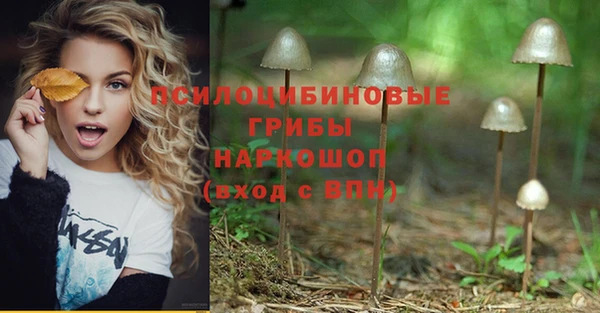 jwh Мегион