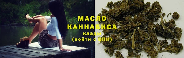 гидропоника Медногорск