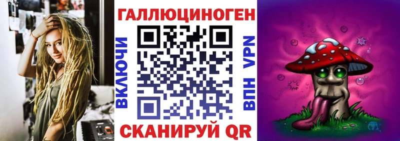 наркота  Сосенский  Псилоцибиновые грибы Psilocybine cubensis 